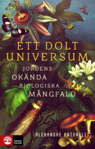 Ett dolt universum